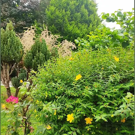 L'ecureuil Parisien Maison De Charme Avec Jardin Proche Paris Cormeilles-en-Parisis