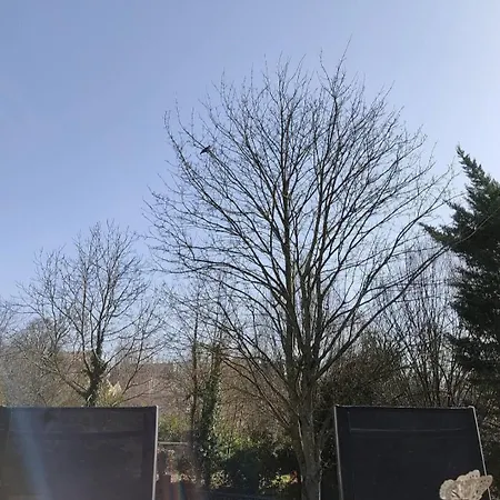 بيت للعطل L'ecureuil Parisien Maison De Charme Avec Jardin Proche Paris *