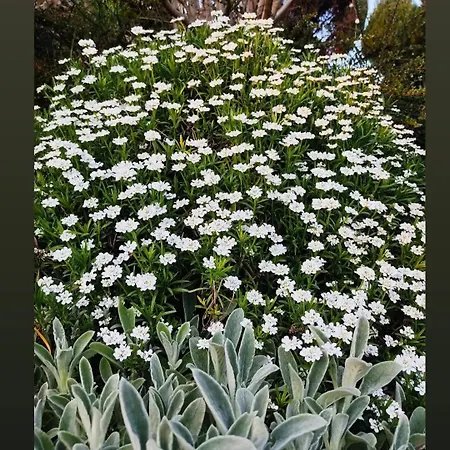 L'ecureuil Parisien Maison De Charme Avec Jardin Proche Paris *